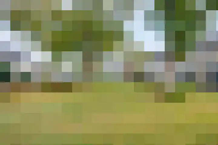 van Bleiswijkhof 10 Rijen thumbnail 6