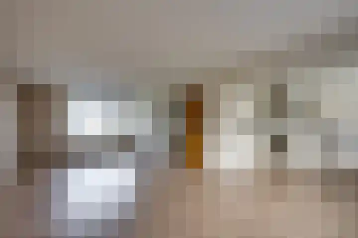 van Bleiswijkhof 10 Rijen thumbnail 9