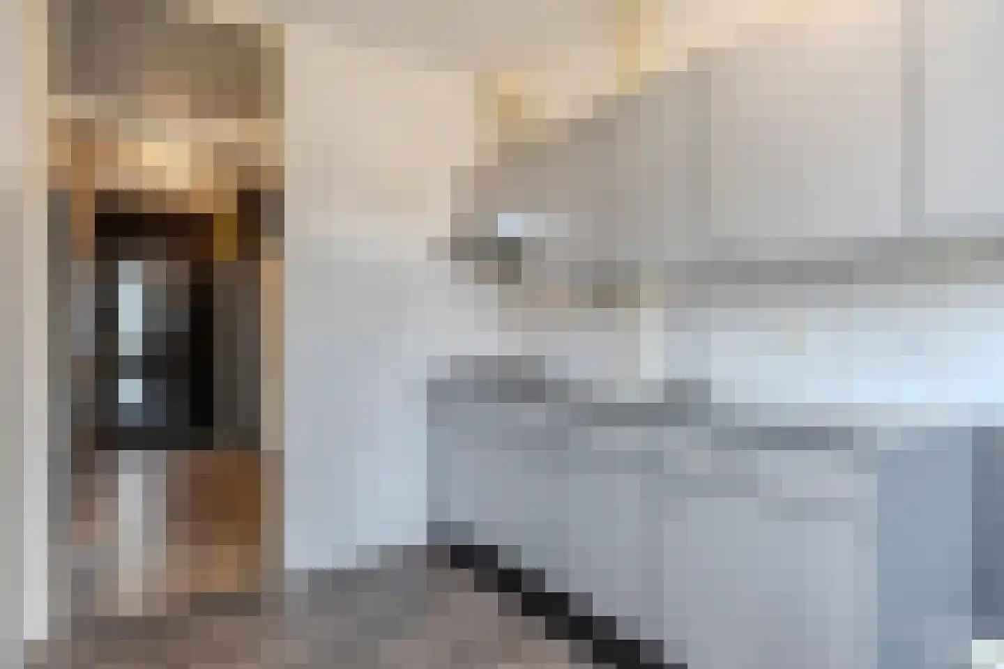 van Bleiswijkhof 3 Rijen thumbnail 11