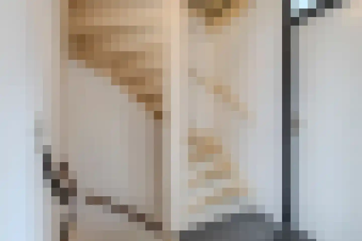 van Bleiswijkhof 3 Rijen thumbnail 15