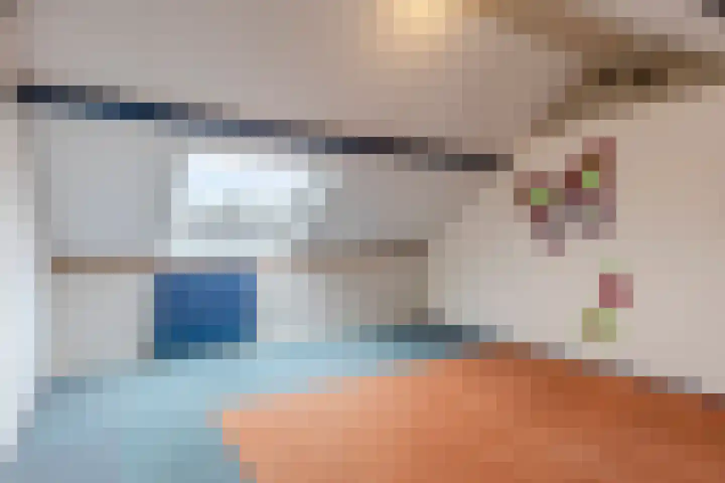 van Bleiswijkhof 3 Rijen thumbnail 26