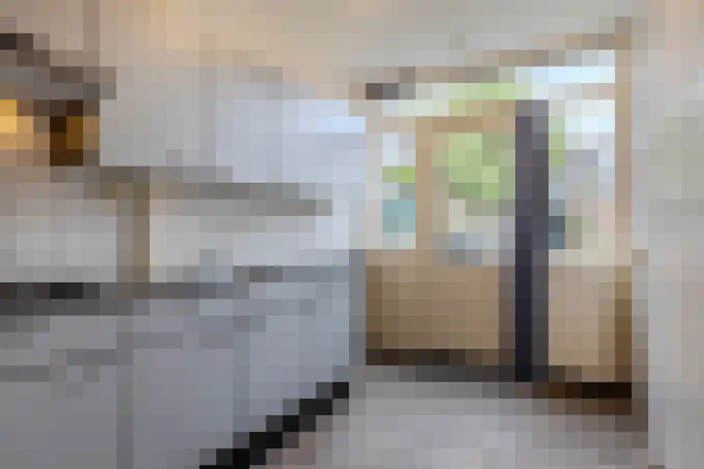 van Bleiswijkhof 3 Rijen thumbnail 4