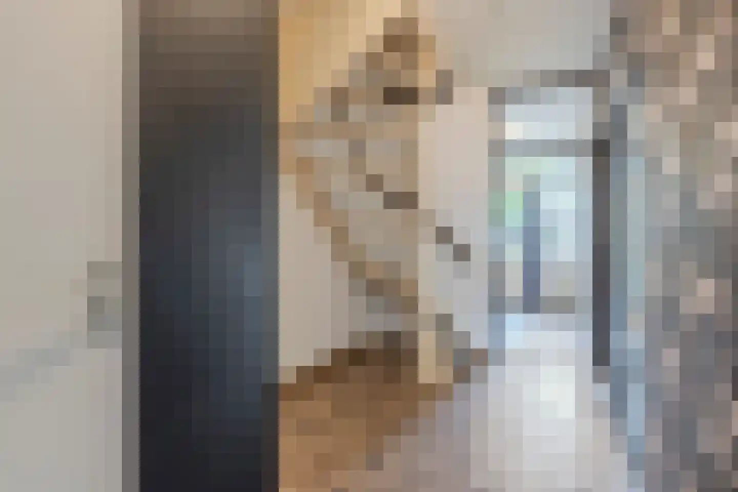 van Bleiswijkhof 3 Rijen thumbnail 6