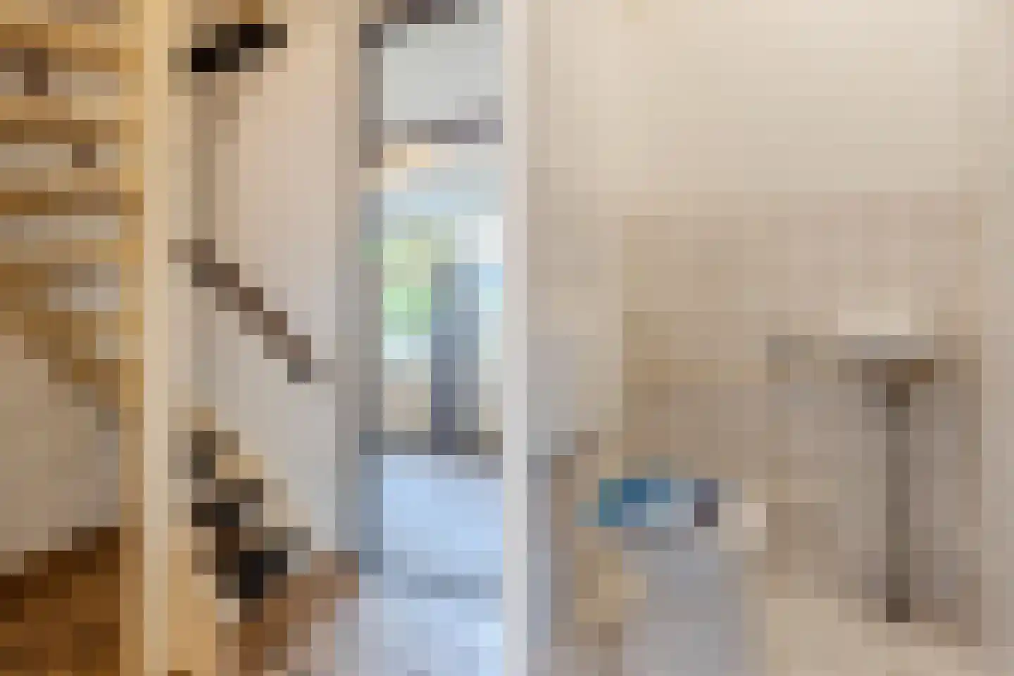 van Bleiswijkhof 3 Rijen thumbnail 7