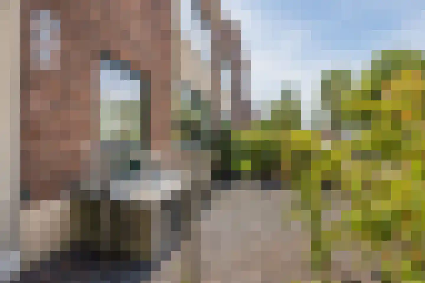 Van Bleiswijkstraat 100 Den Haag thumbnail 7