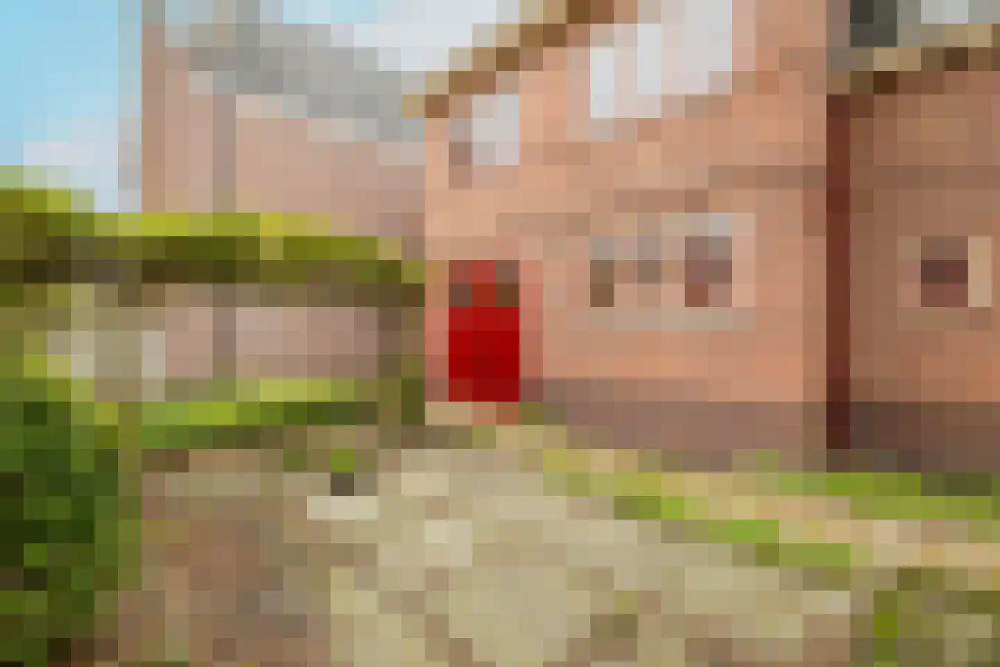 Van Bleiswijkstraat 200 Den Haag thumbnail 24