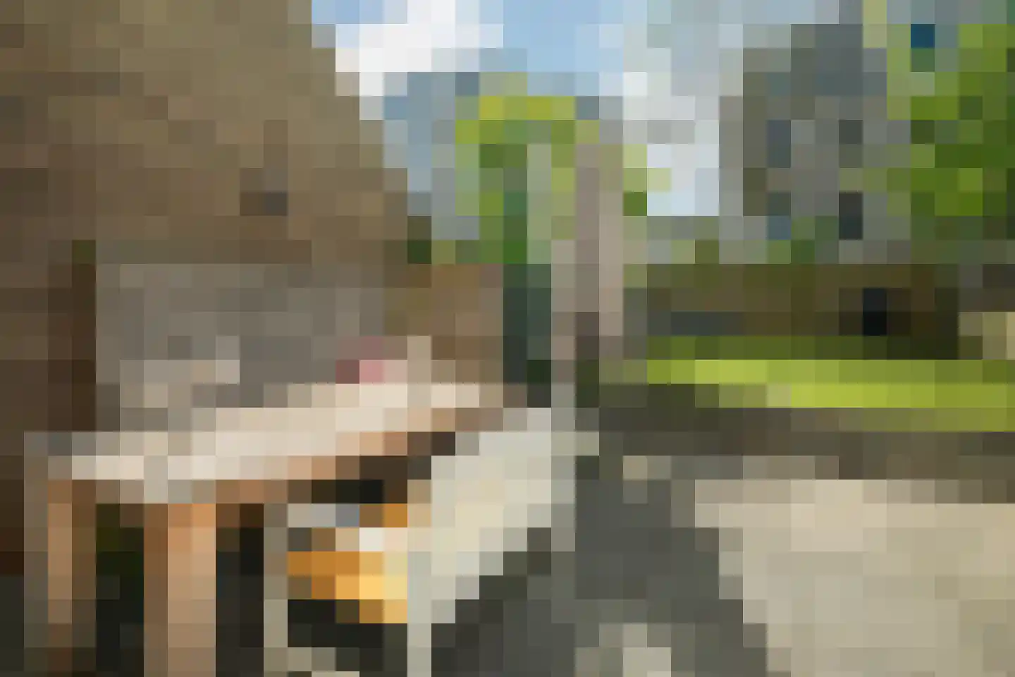 Van Bleiswijkstraat 42 Den Haag thumbnail 22