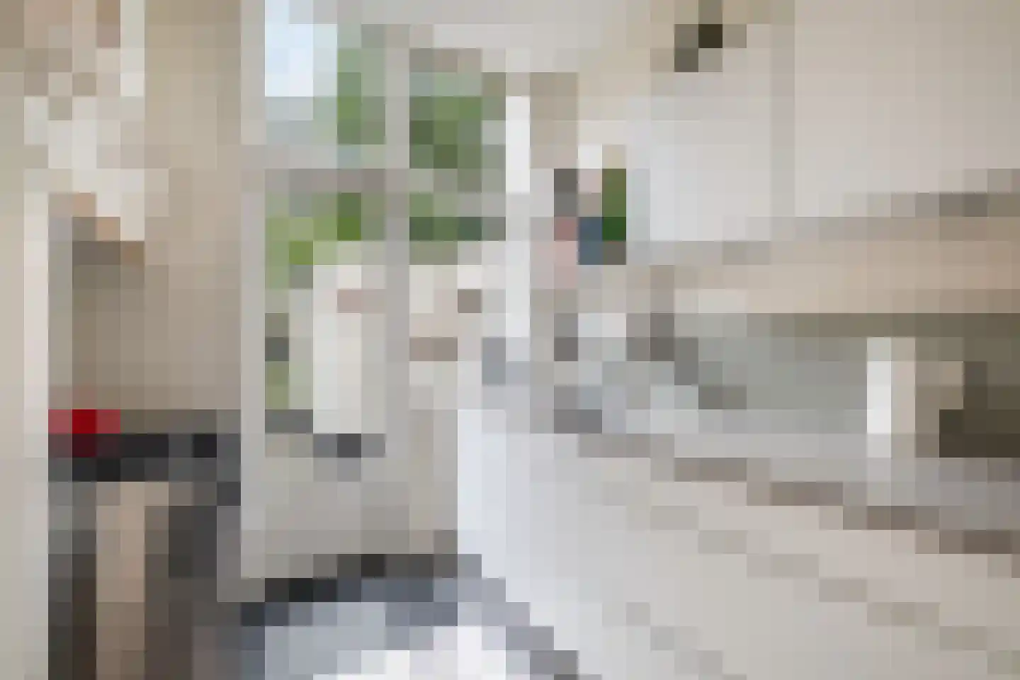 Van Bleiswijkstraat 42 Den Haag thumbnail 4