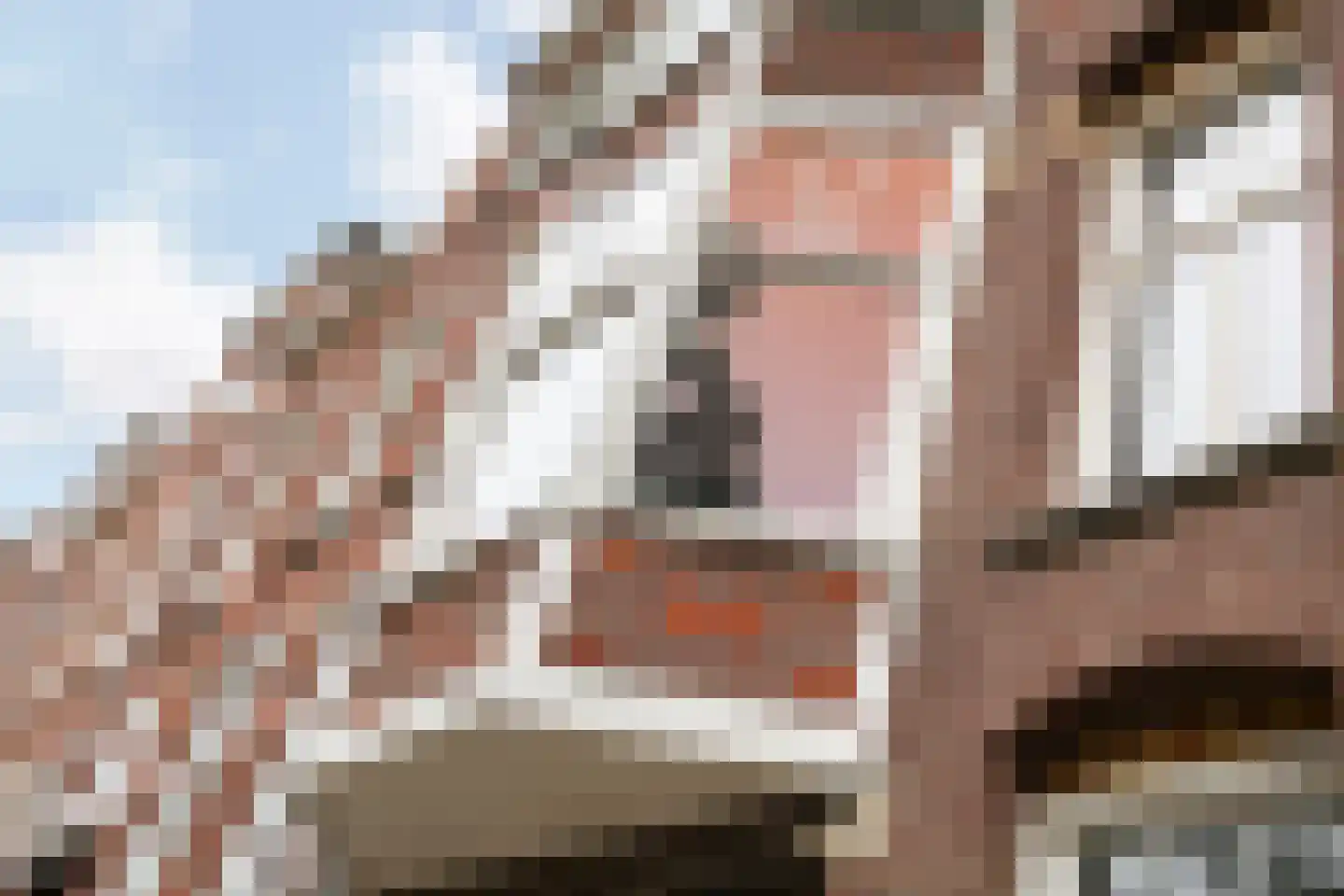 Van Bleiswijkstraat 42 Den Haag thumbnail 6
