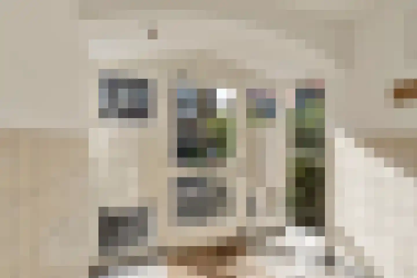 Van Bleiswijkstraat 65 Den Haag thumbnail 33