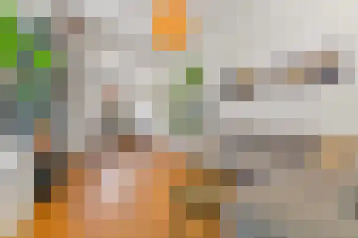 Van Bleyswijckstraat 15 Delft thumbnail 8