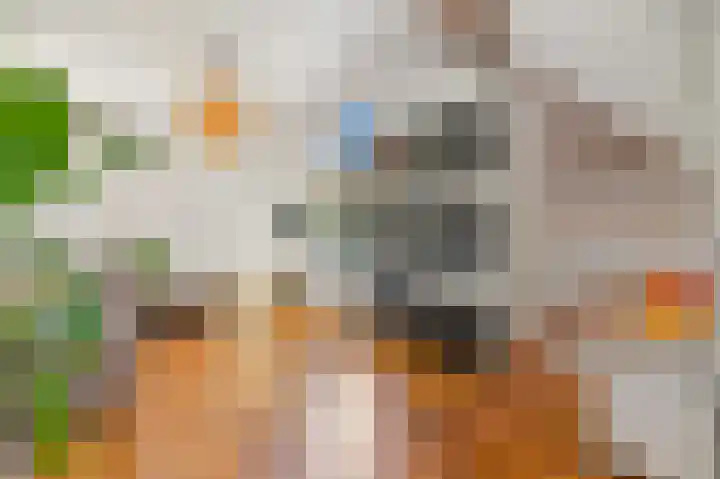 Van Bleyswijckstraat 15 Delft thumbnail 9