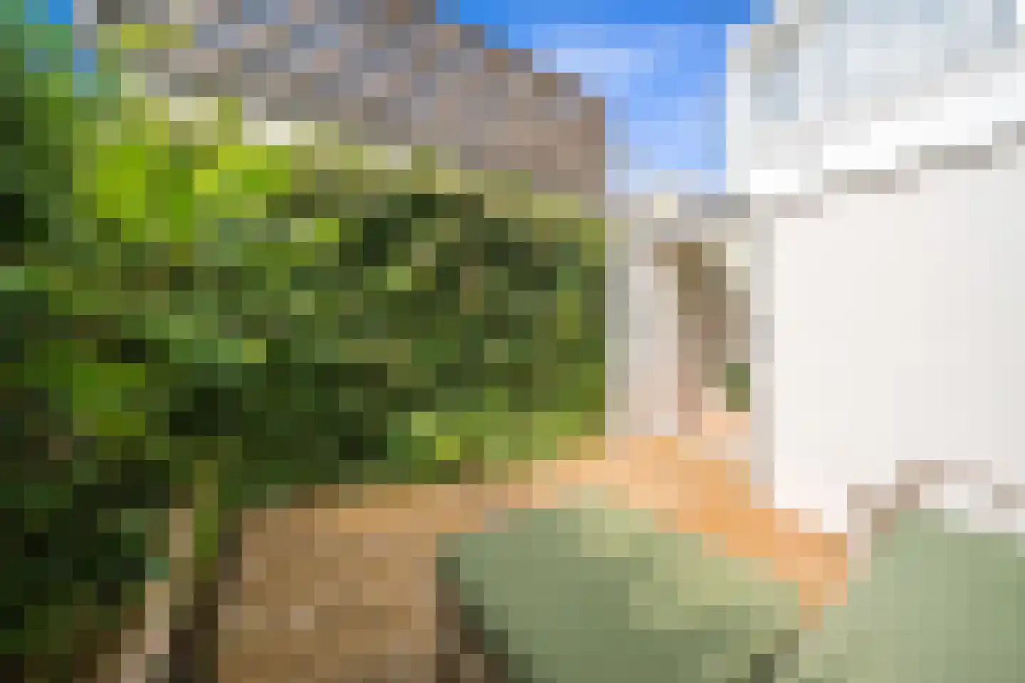 Van Bleyswijckstraat 45 Delft thumbnail 18