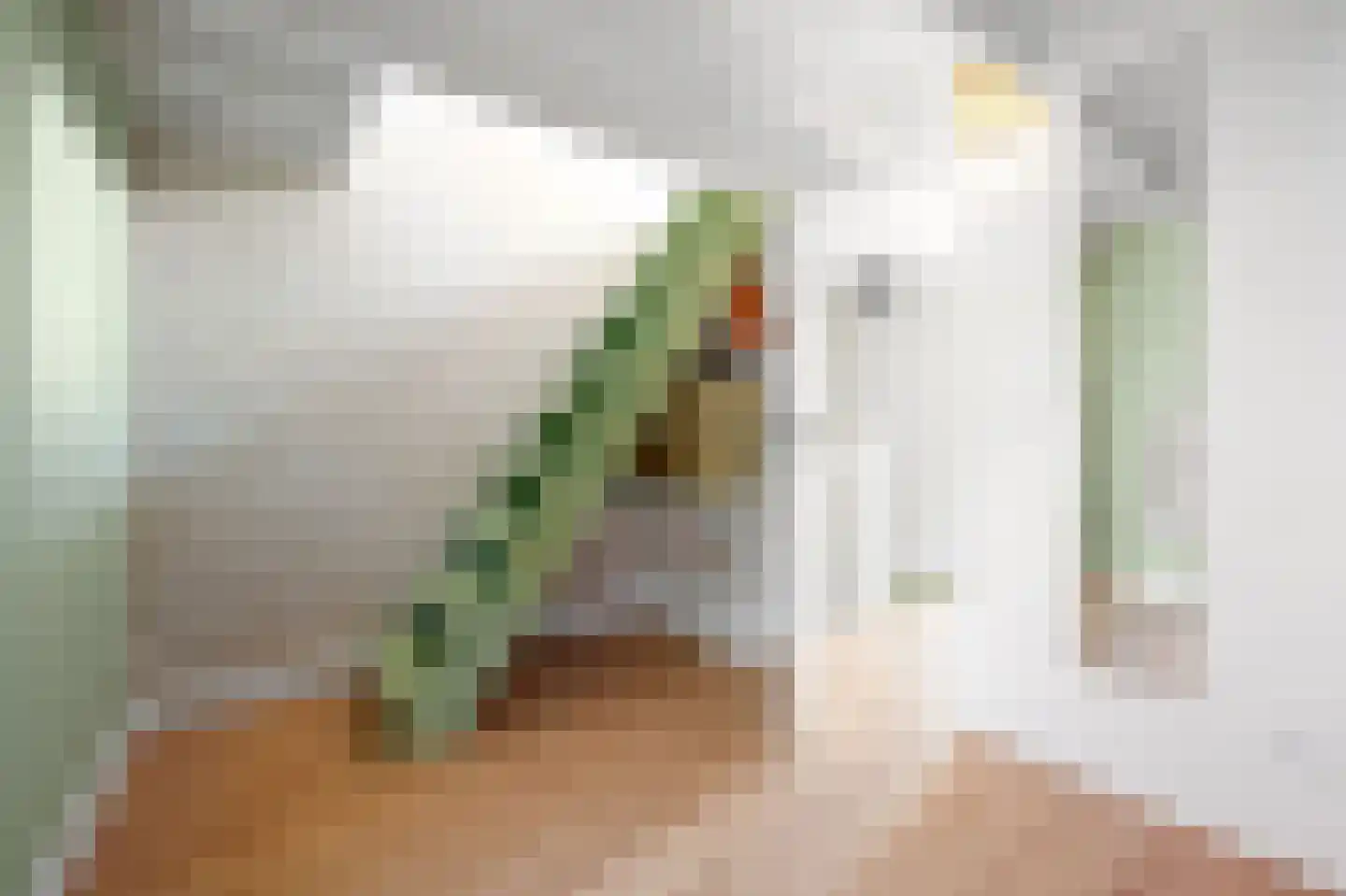 Van Bleyswijckstraat 45 Delft thumbnail 35