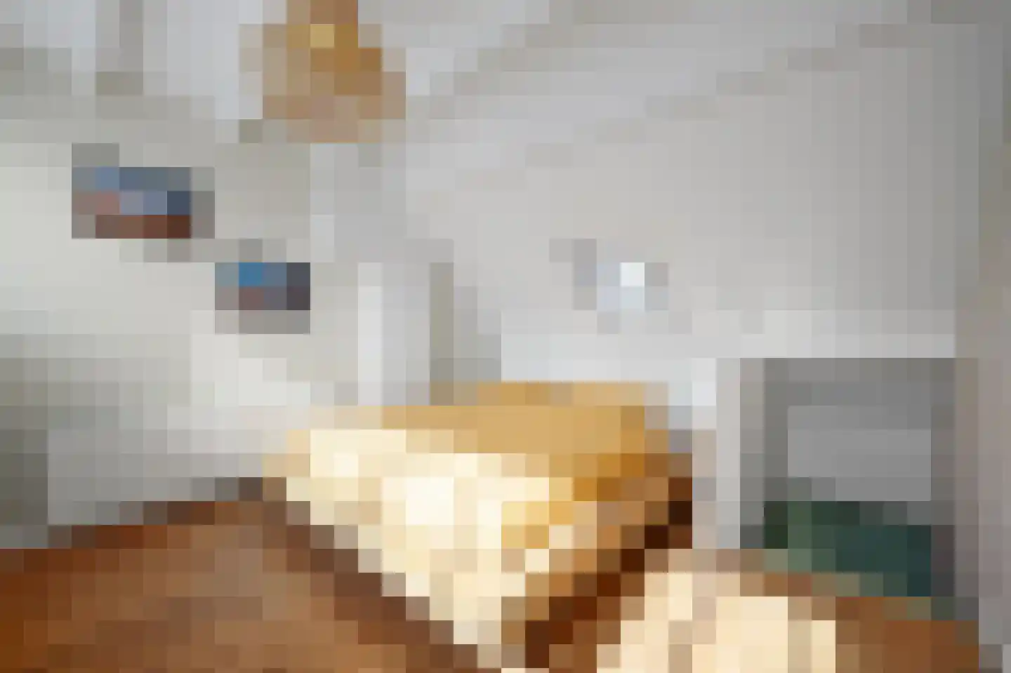 Van Bleyswijckstraat 45 Delft thumbnail 36