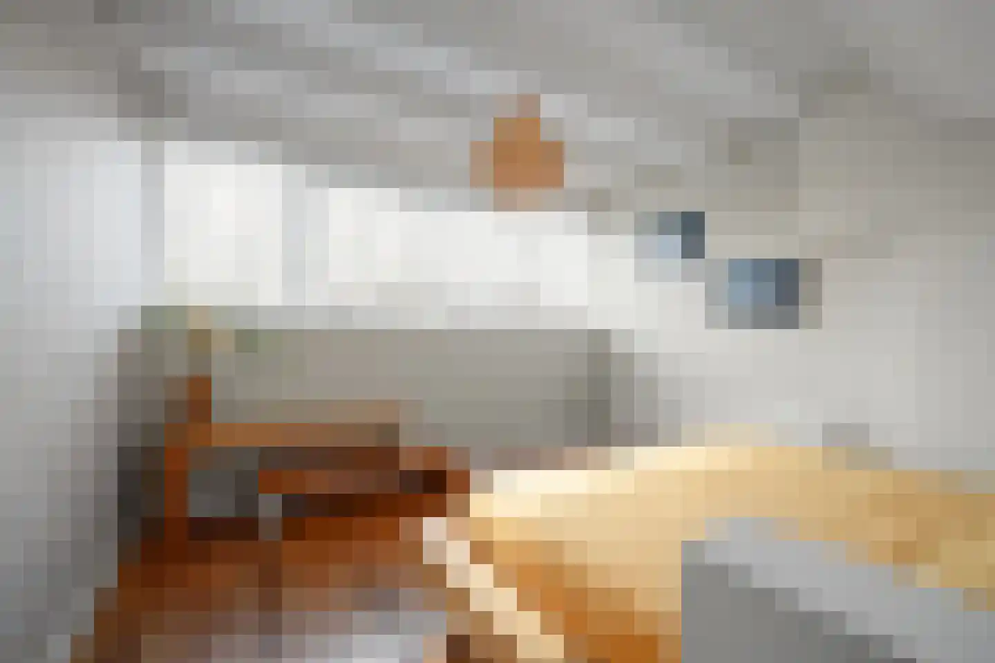 Van Bleyswijckstraat 45 Delft thumbnail 37