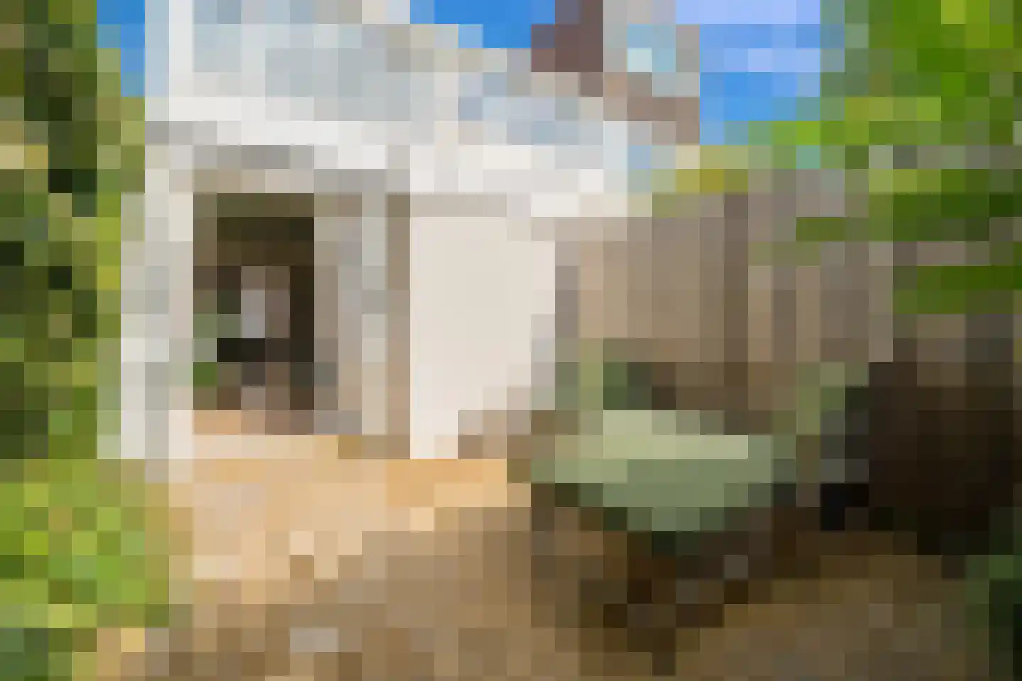 Van Bleyswijckstraat 45 Delft thumbnail 6