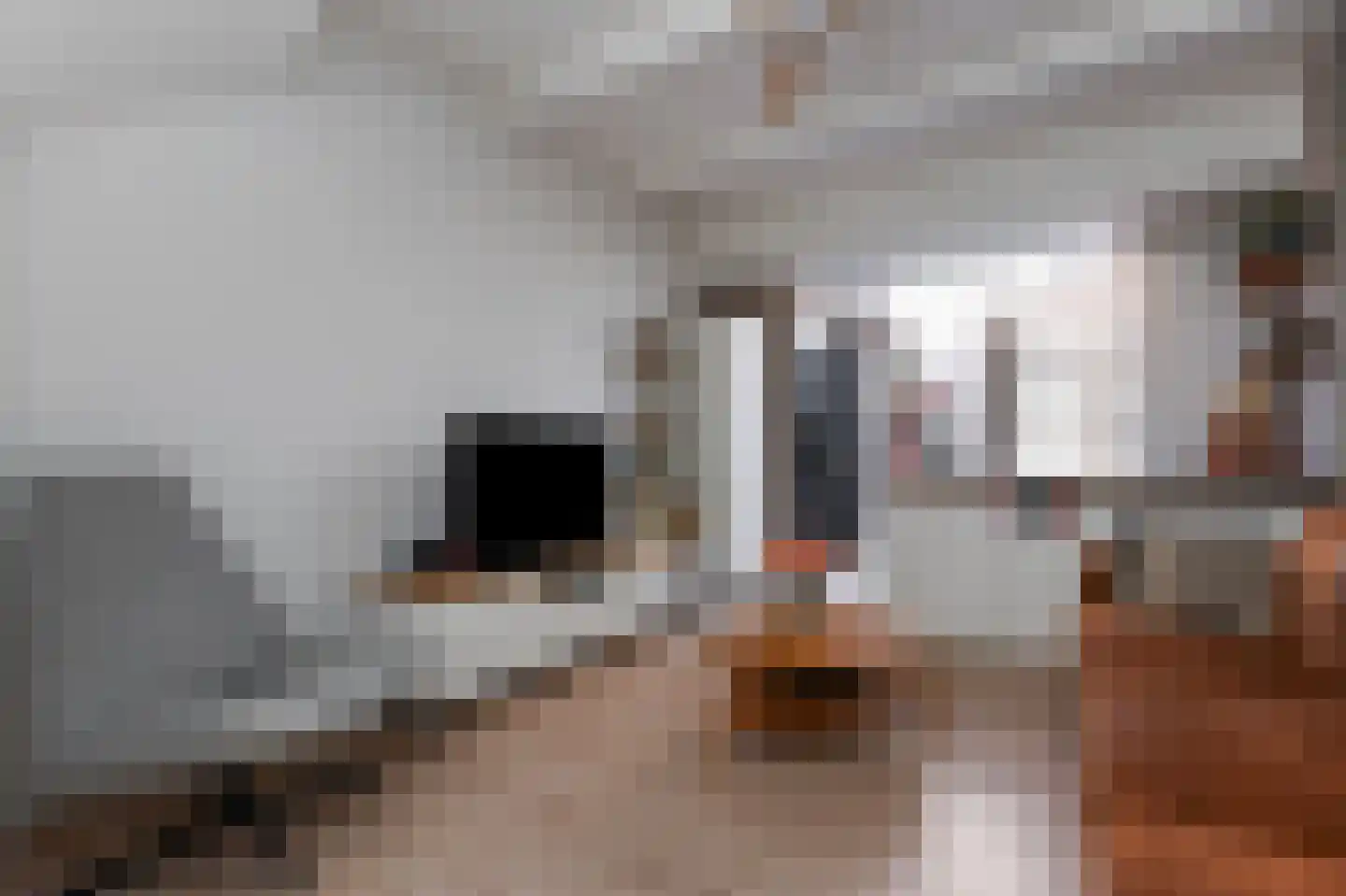 Van Bleyswijckstraat 64 Delft thumbnail 10