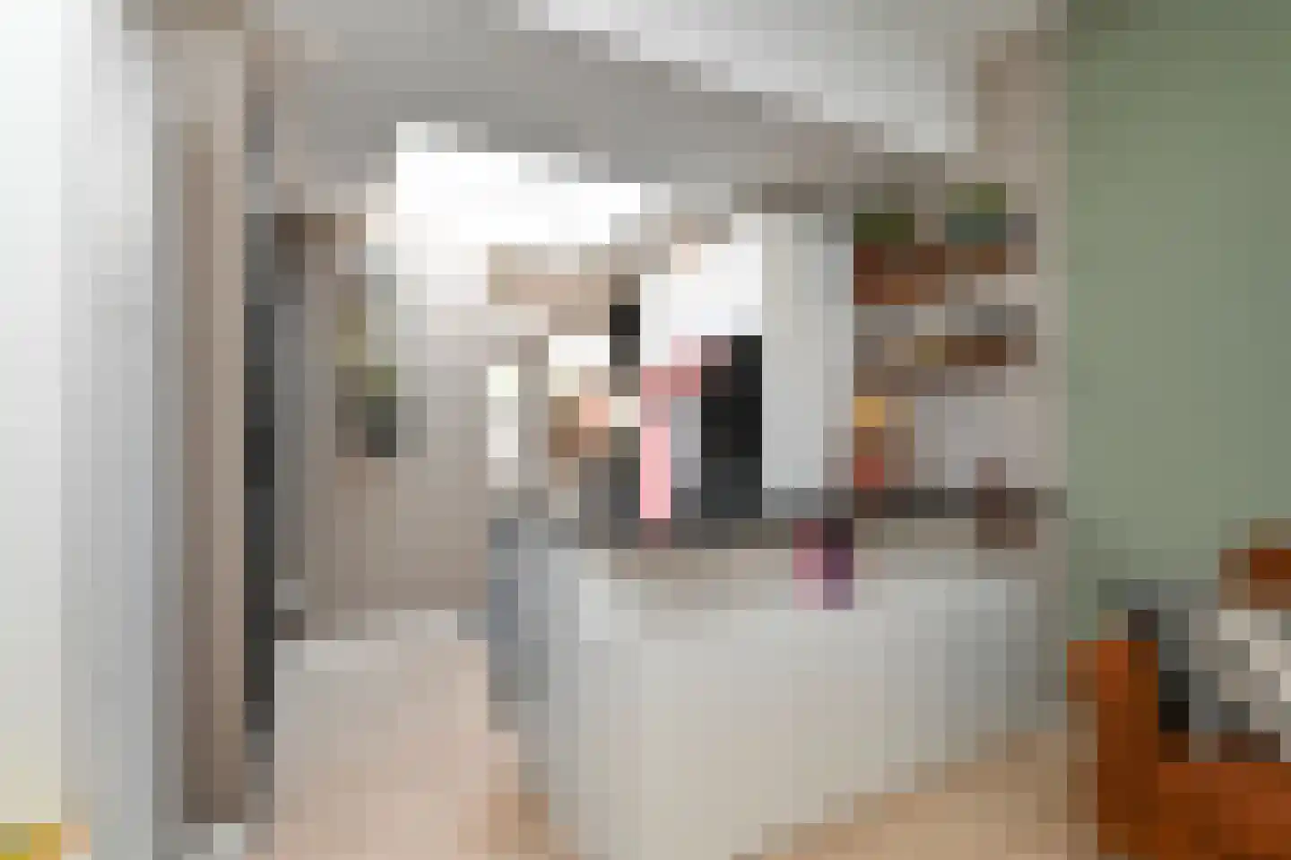 Van Bleyswijckstraat 64 Delft thumbnail 11