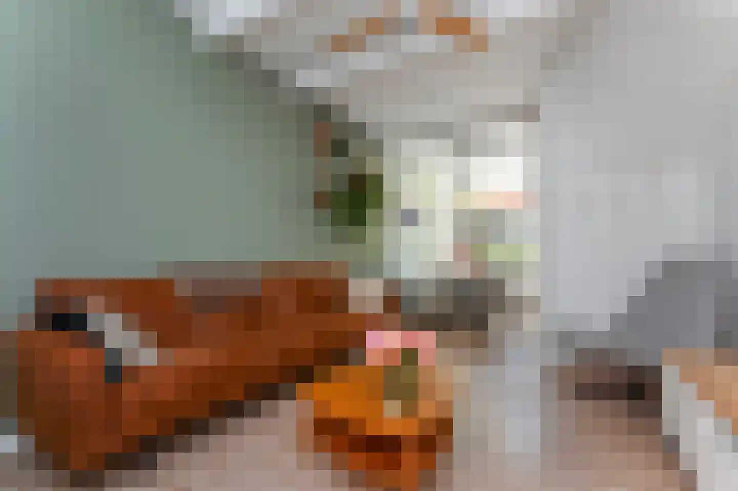 Van Bleyswijckstraat 64 Delft thumbnail 13