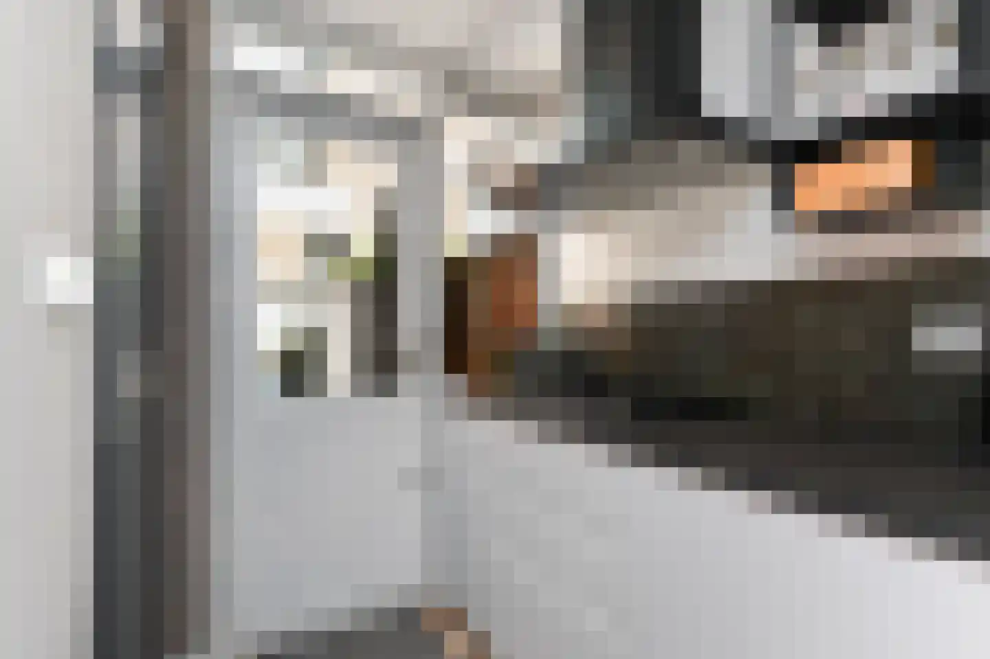 Van Bleyswijckstraat 64 Delft thumbnail 14