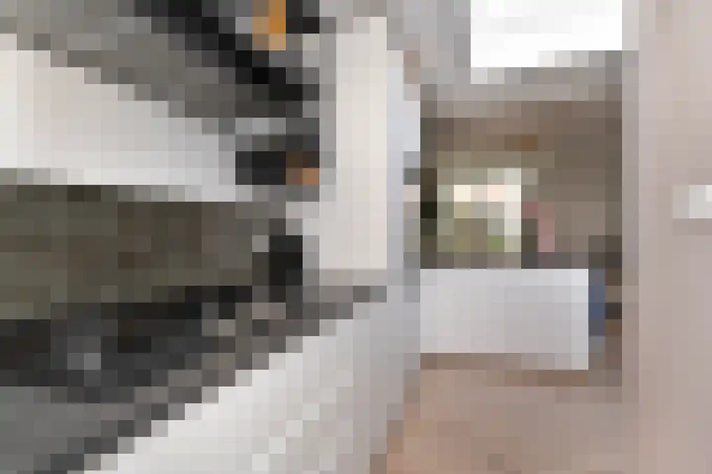 Van Bleyswijckstraat 64 Delft thumbnail 18