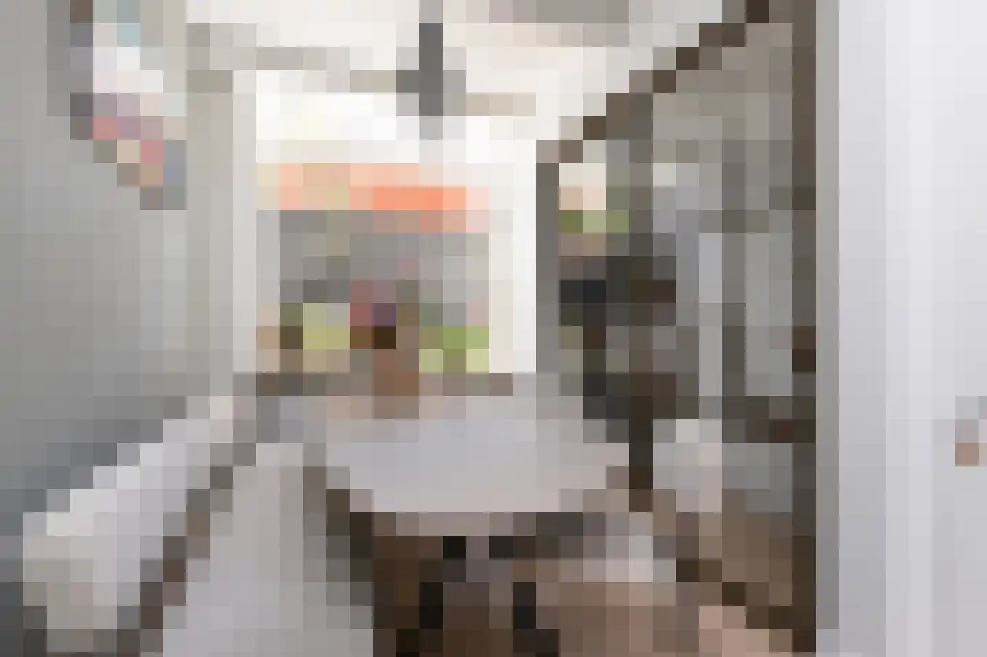 Van Bleyswijckstraat 64 Delft thumbnail 20