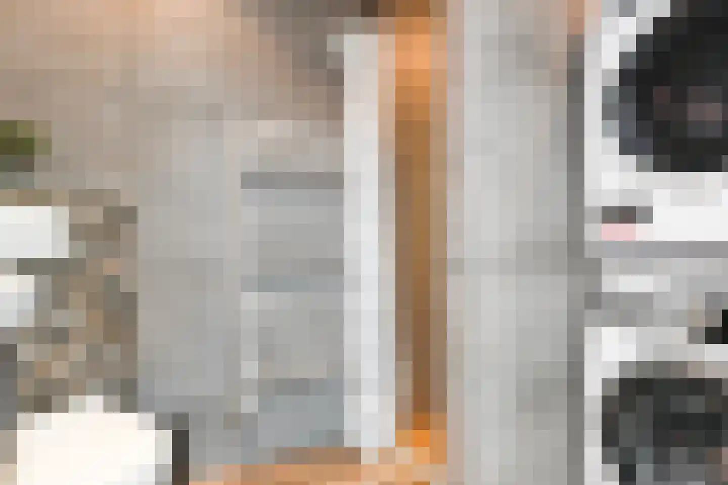 Van Bleyswijckstraat 64 Delft thumbnail 23