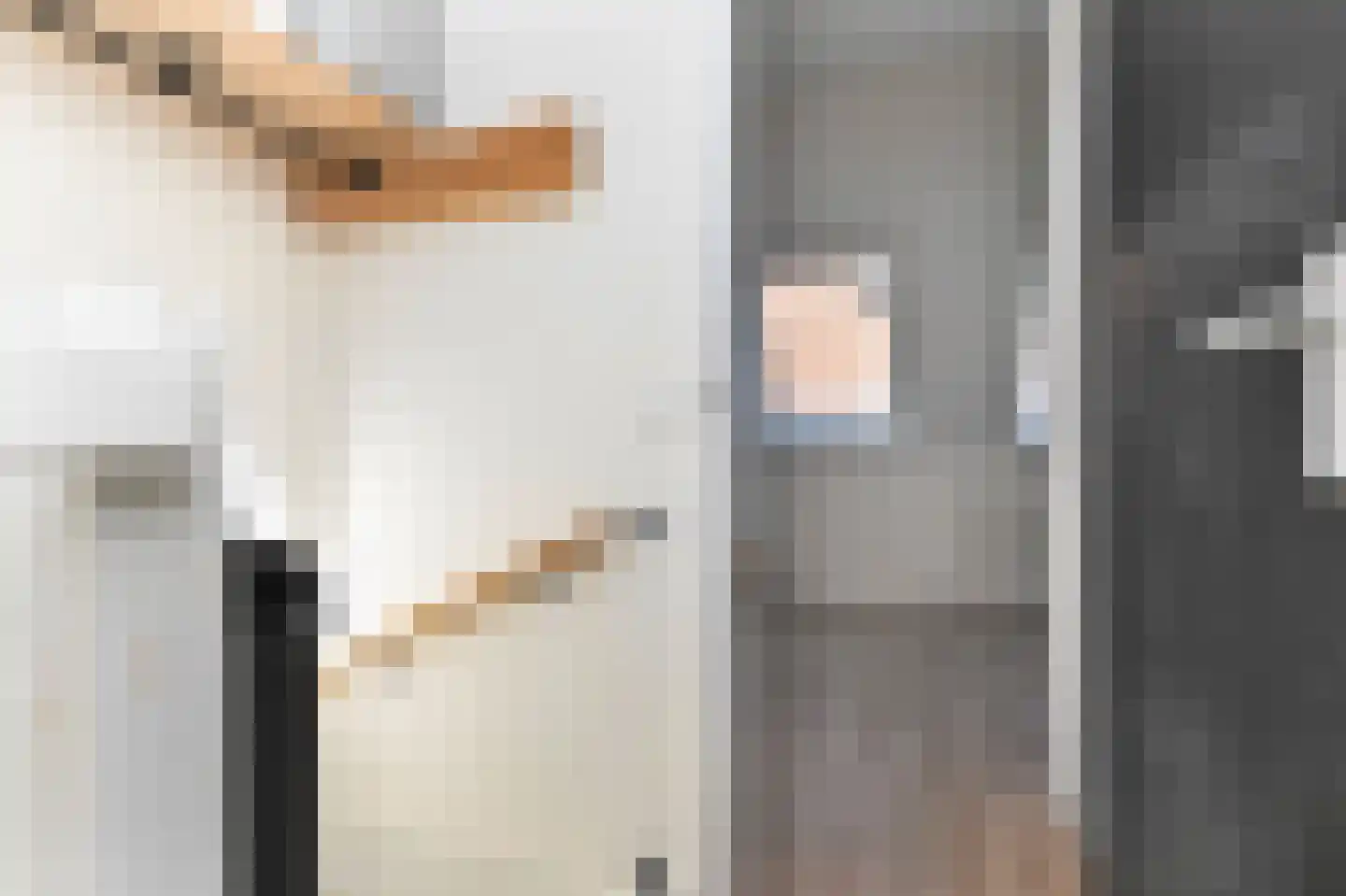 Van Bleyswijckstraat 64 Delft thumbnail 34