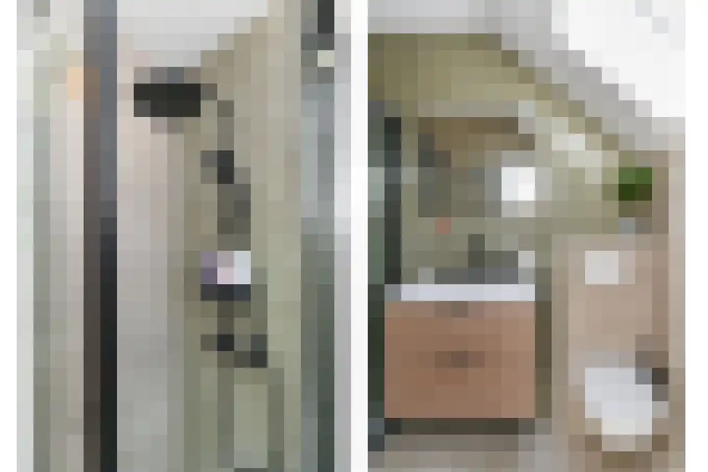 Van Bleyswijckstraat 64 Delft thumbnail 4