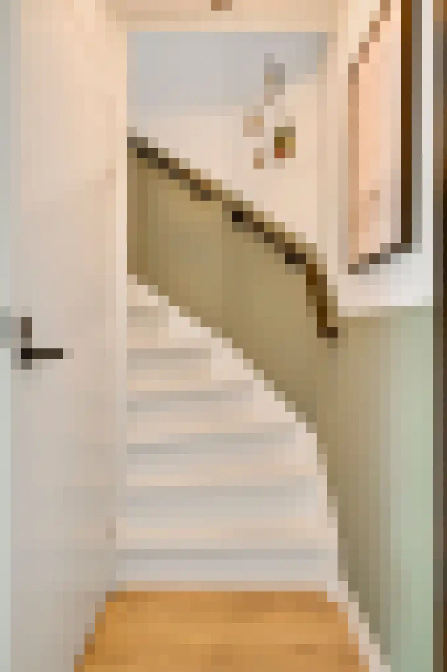 Van Blitterswijckstraat 16 Horst thumbnail 10