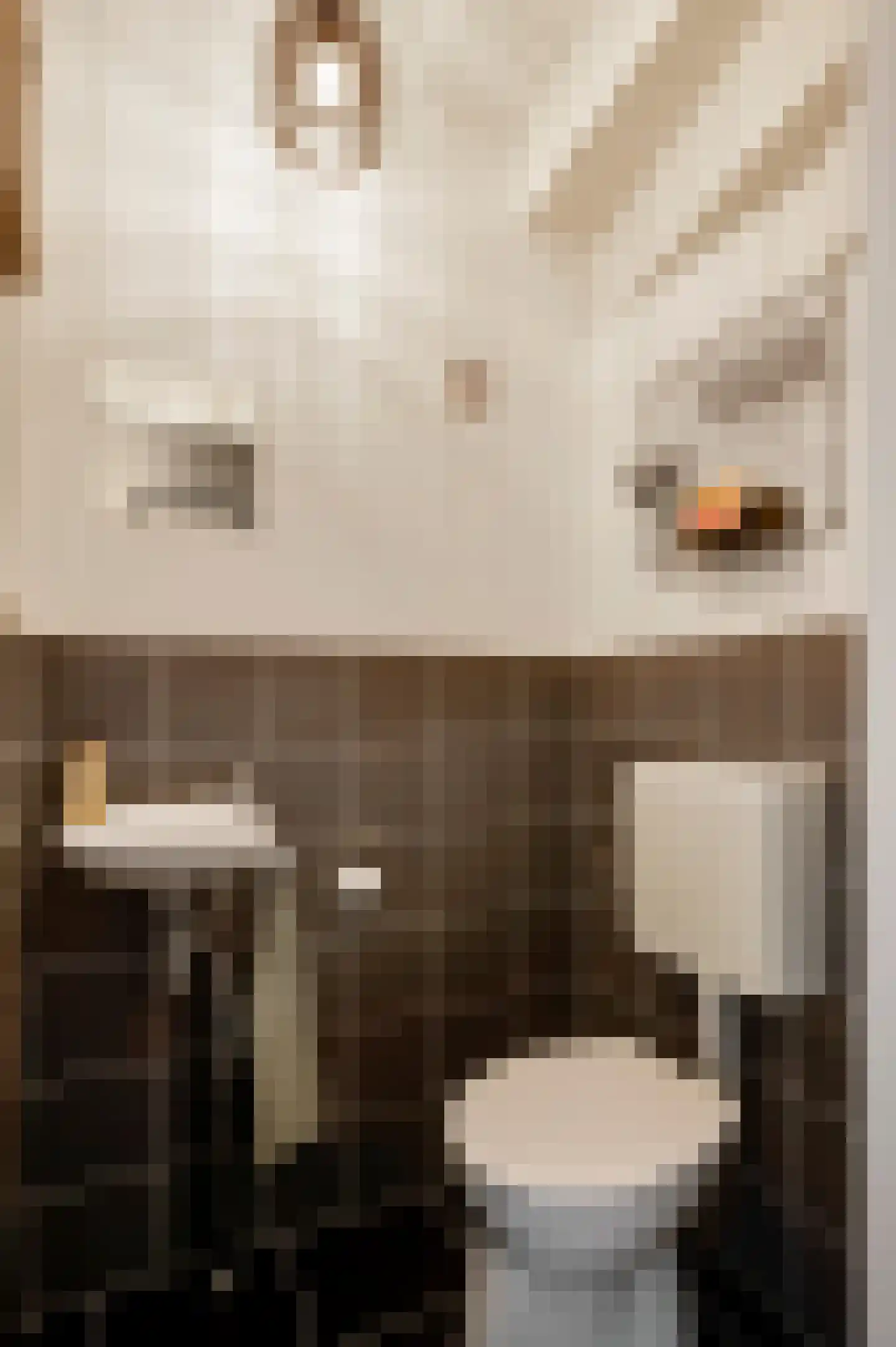 Van Blitterswijckstraat 16 Horst thumbnail 12