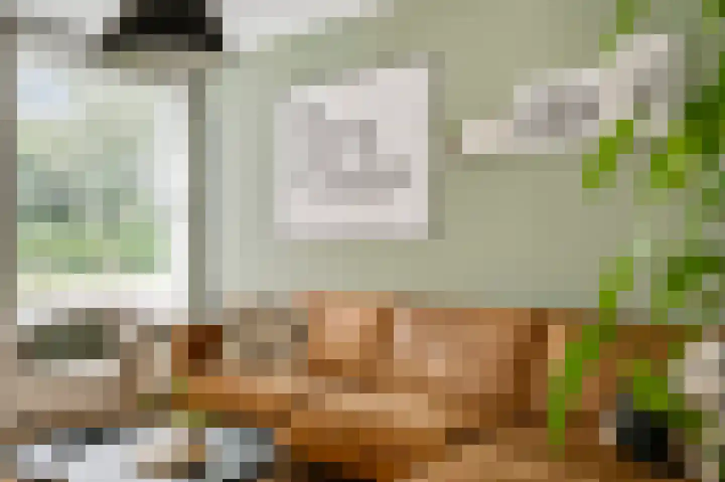 Van Blitterswijckstraat 16 Horst thumbnail 14