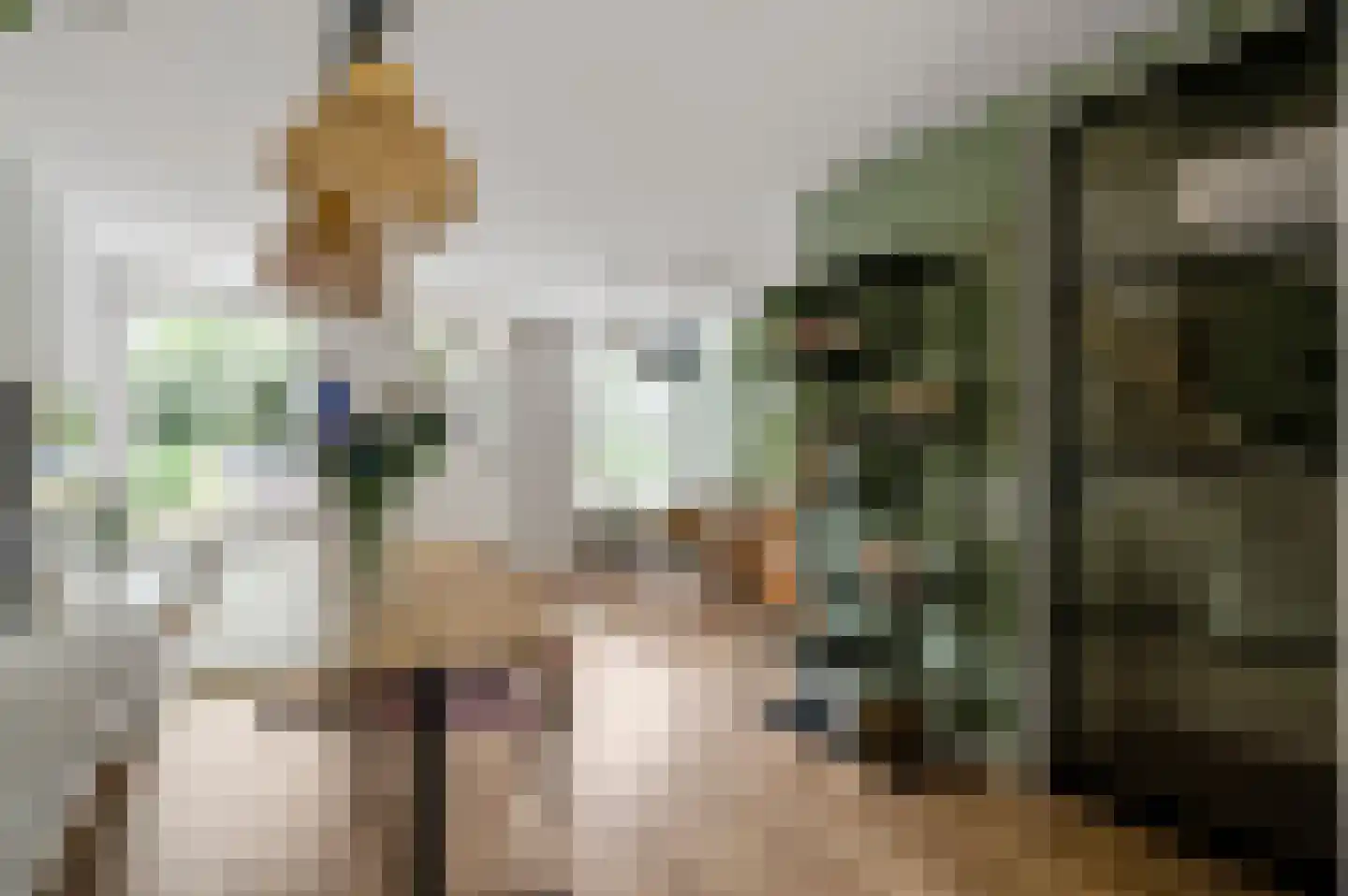 Van Blitterswijckstraat 16 Horst thumbnail 15