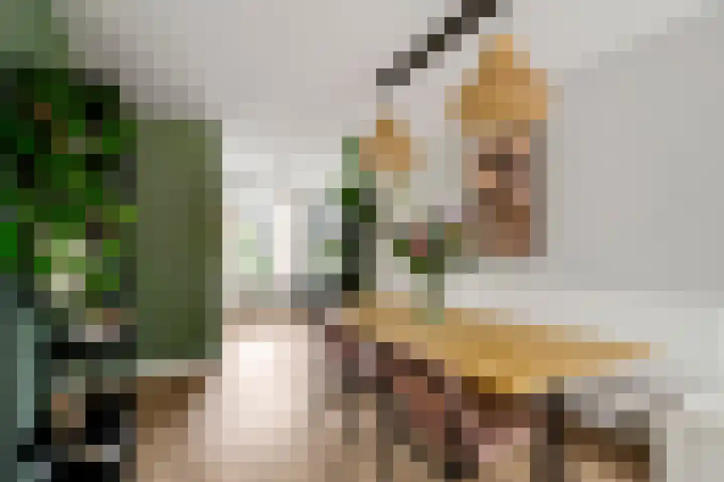 Van Blitterswijckstraat 16 Horst thumbnail 16
