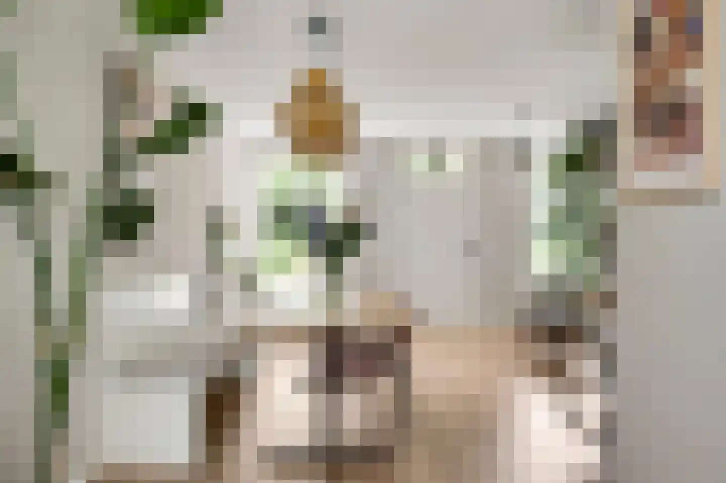 Van Blitterswijckstraat 16 Horst thumbnail 18