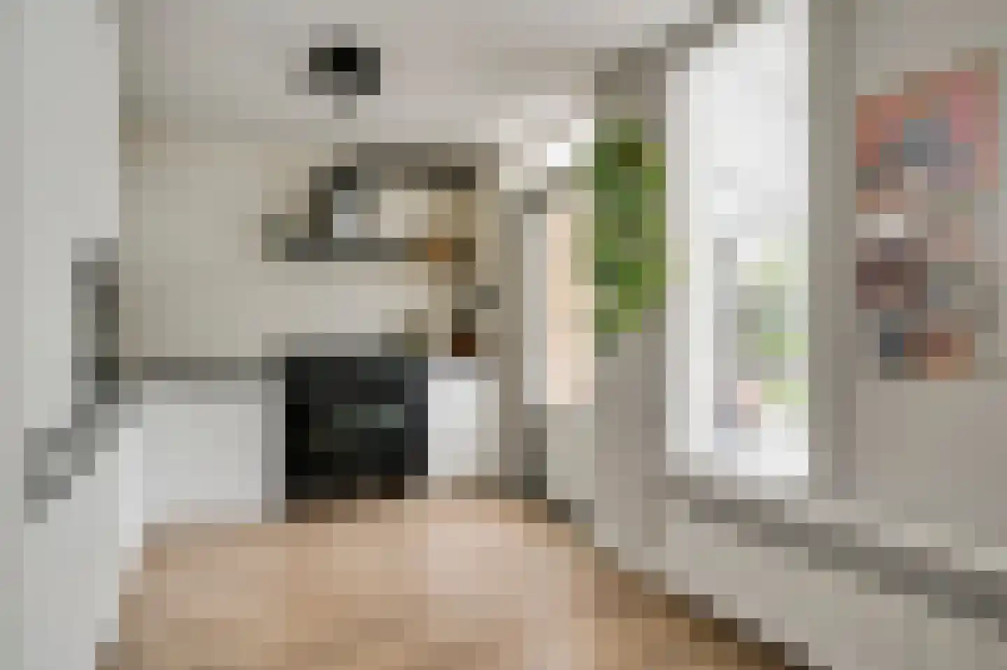 Van Blitterswijckstraat 16 Horst thumbnail 20