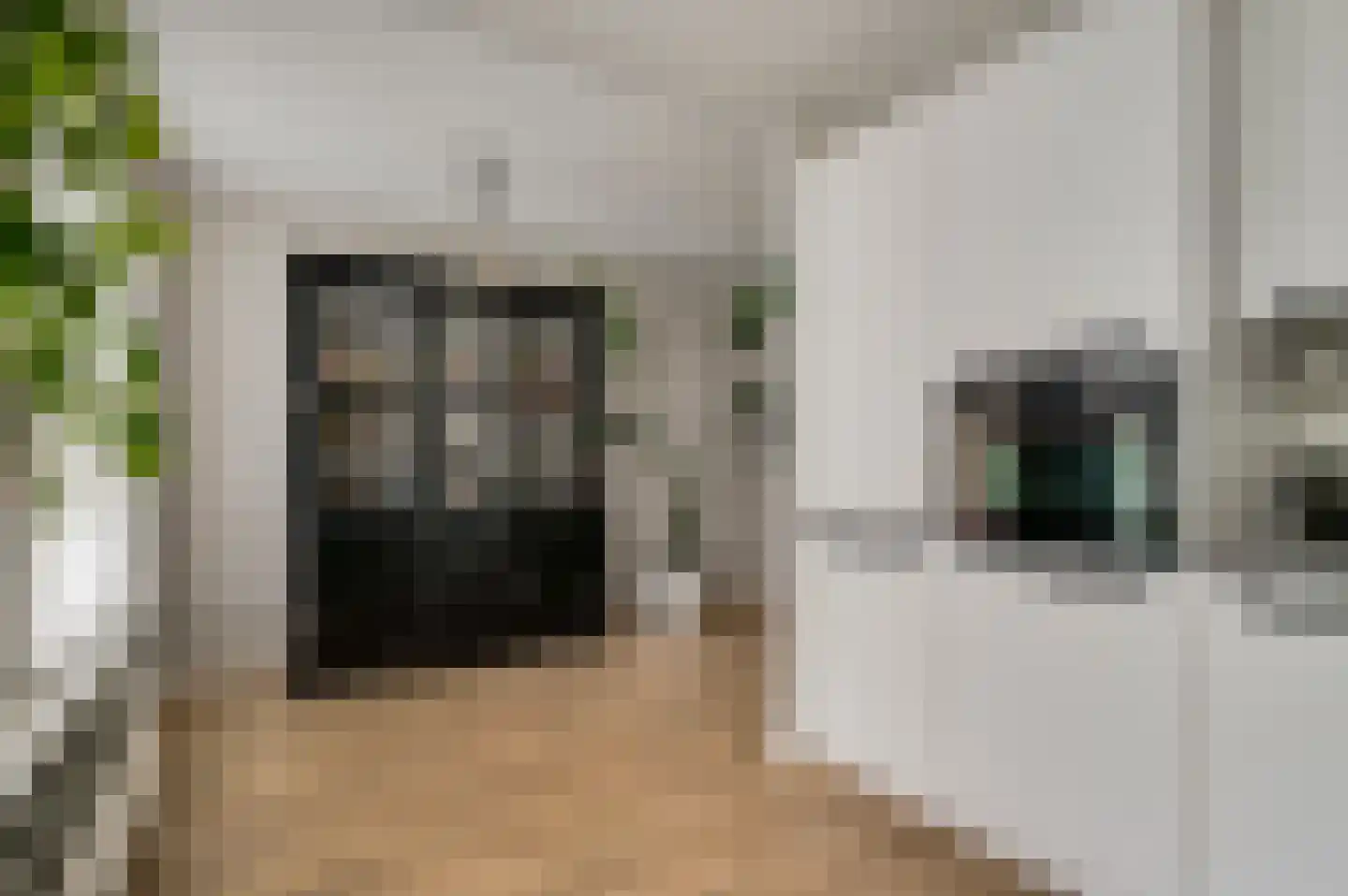 Van Blitterswijckstraat 16 Horst thumbnail 21