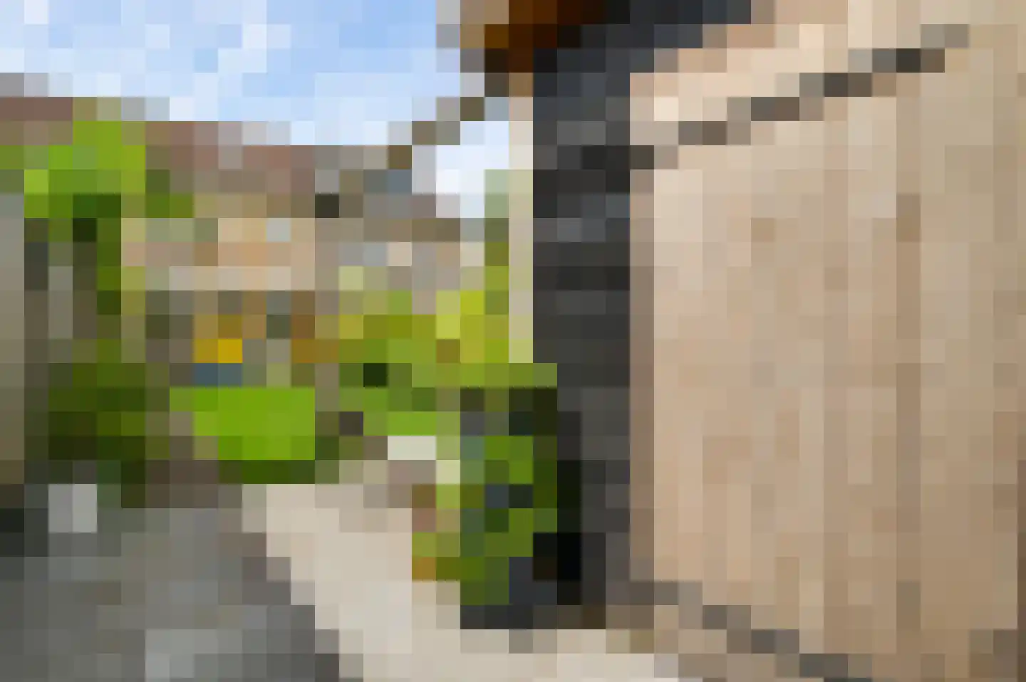 Van Blitterswijckstraat 16 Horst thumbnail 25