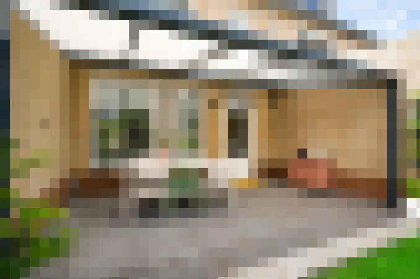 Van Blitterswijckstraat 16 Horst thumbnail 27
