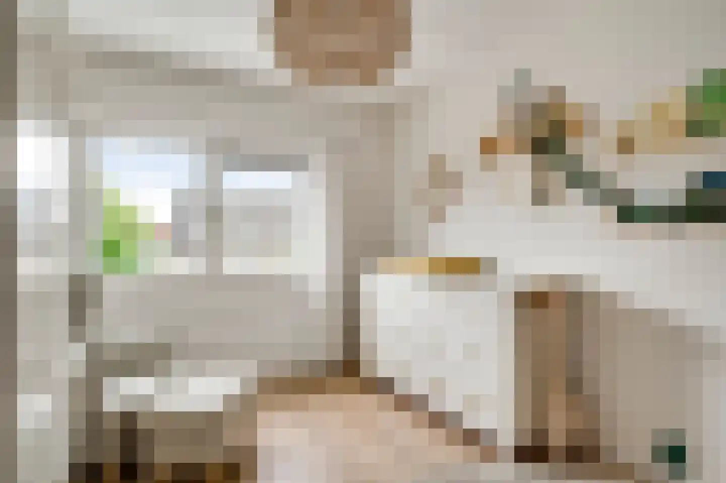 Van Blitterswijckstraat 16 Horst thumbnail 33