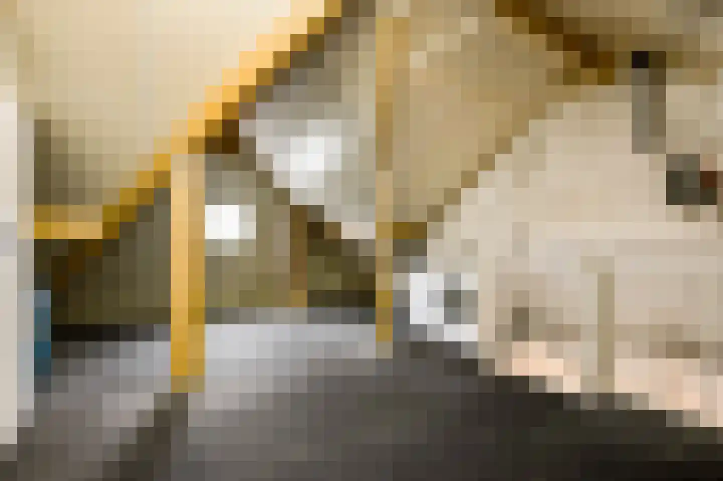 Van Blitterswijckstraat 16 Horst thumbnail 36