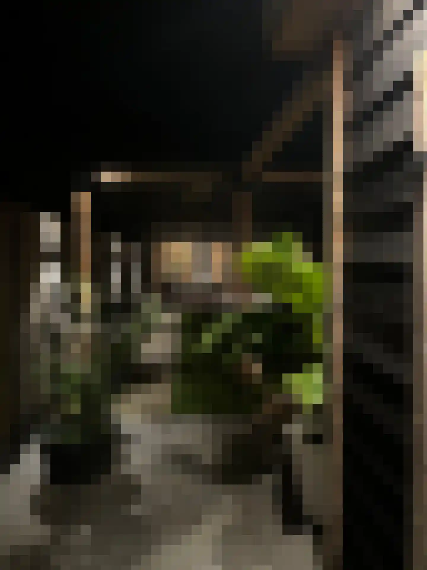 Van Blitterswijckstraat 16 Horst thumbnail 39