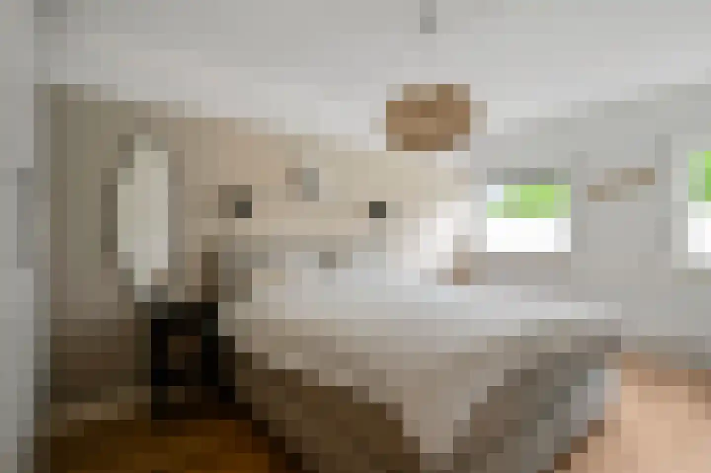 Van Blitterswijckstraat 16 Horst thumbnail 4