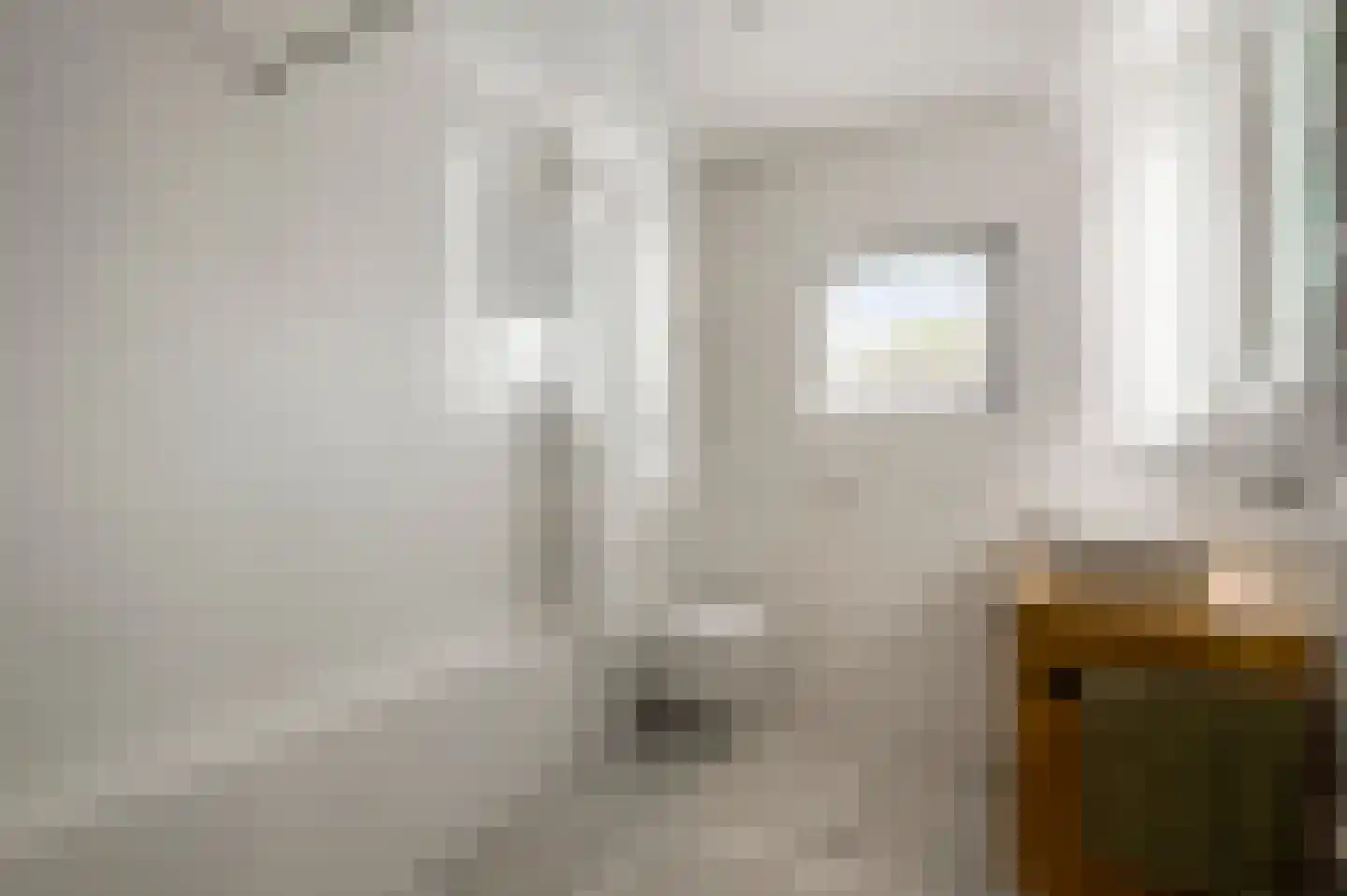 Van Blitterswijckstraat 16 Horst thumbnail 5