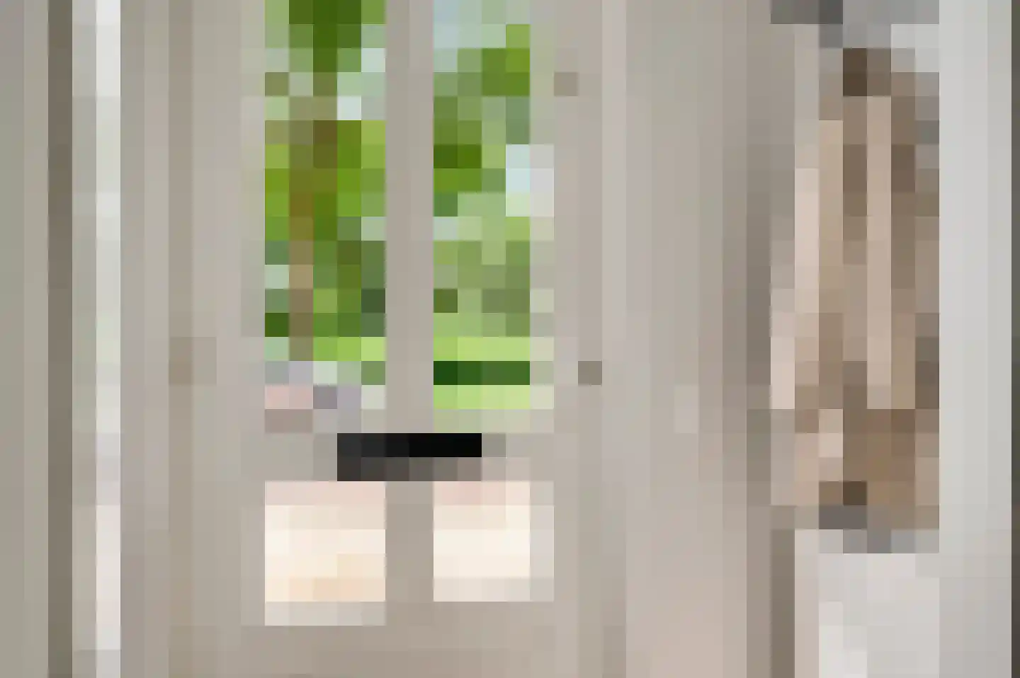 Van Blitterswijckstraat 16 Horst thumbnail 9