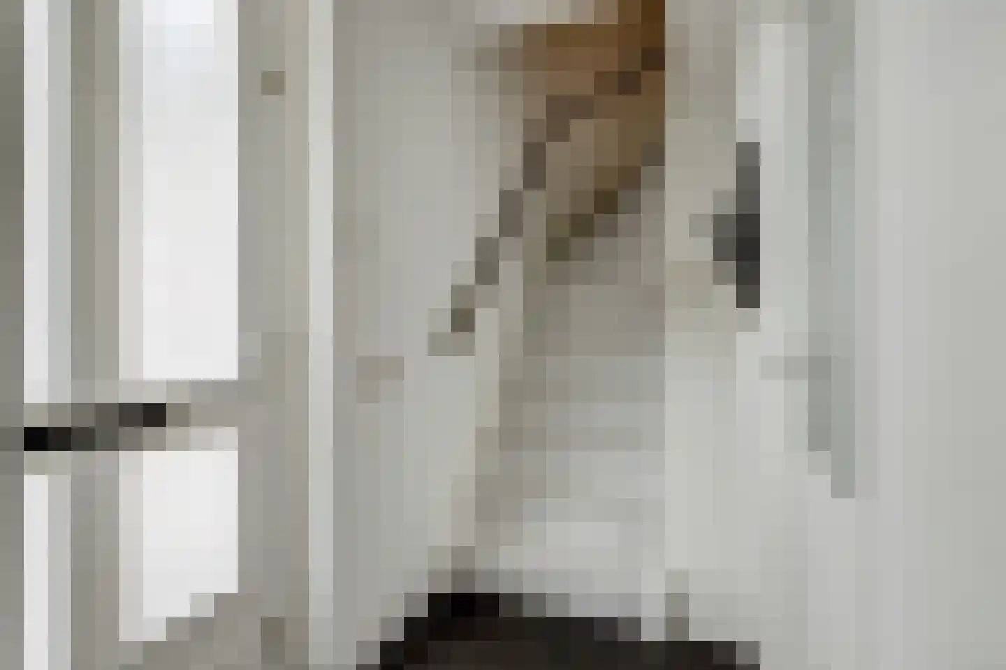 Van Blitterswijckstraat 40 Horst thumbnail 11