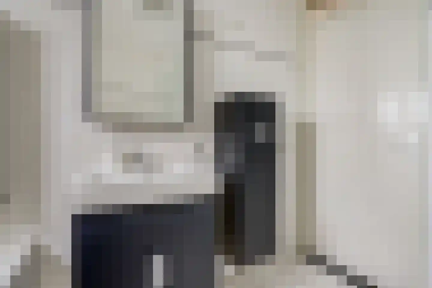 Van Blitterswijckstraat 40 Horst thumbnail 14