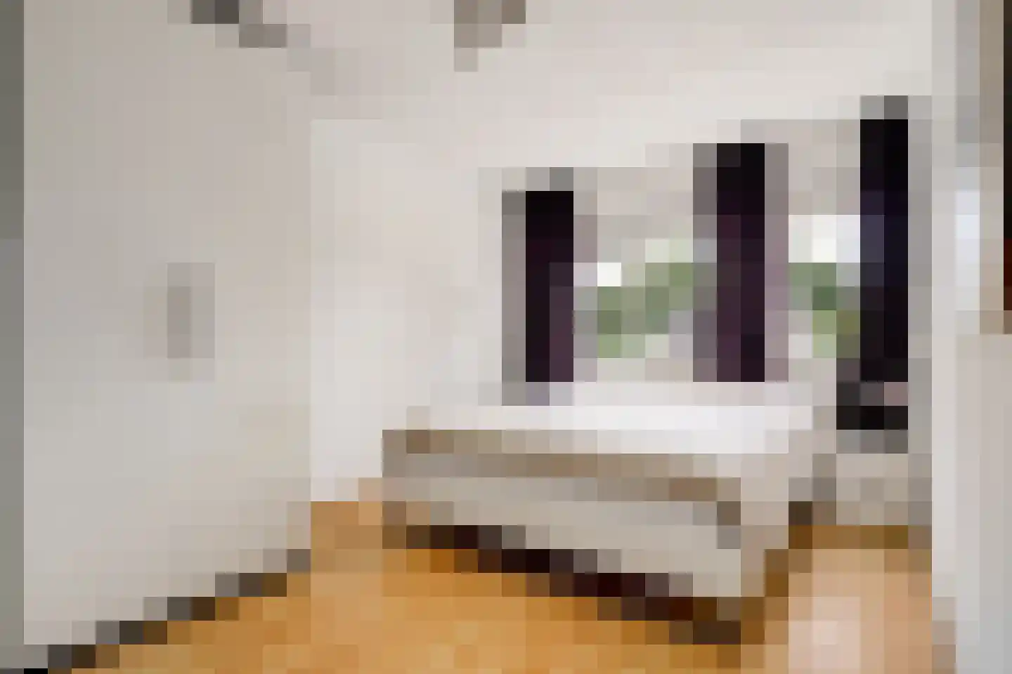 Van Blitterswijckstraat 40 Horst thumbnail 16