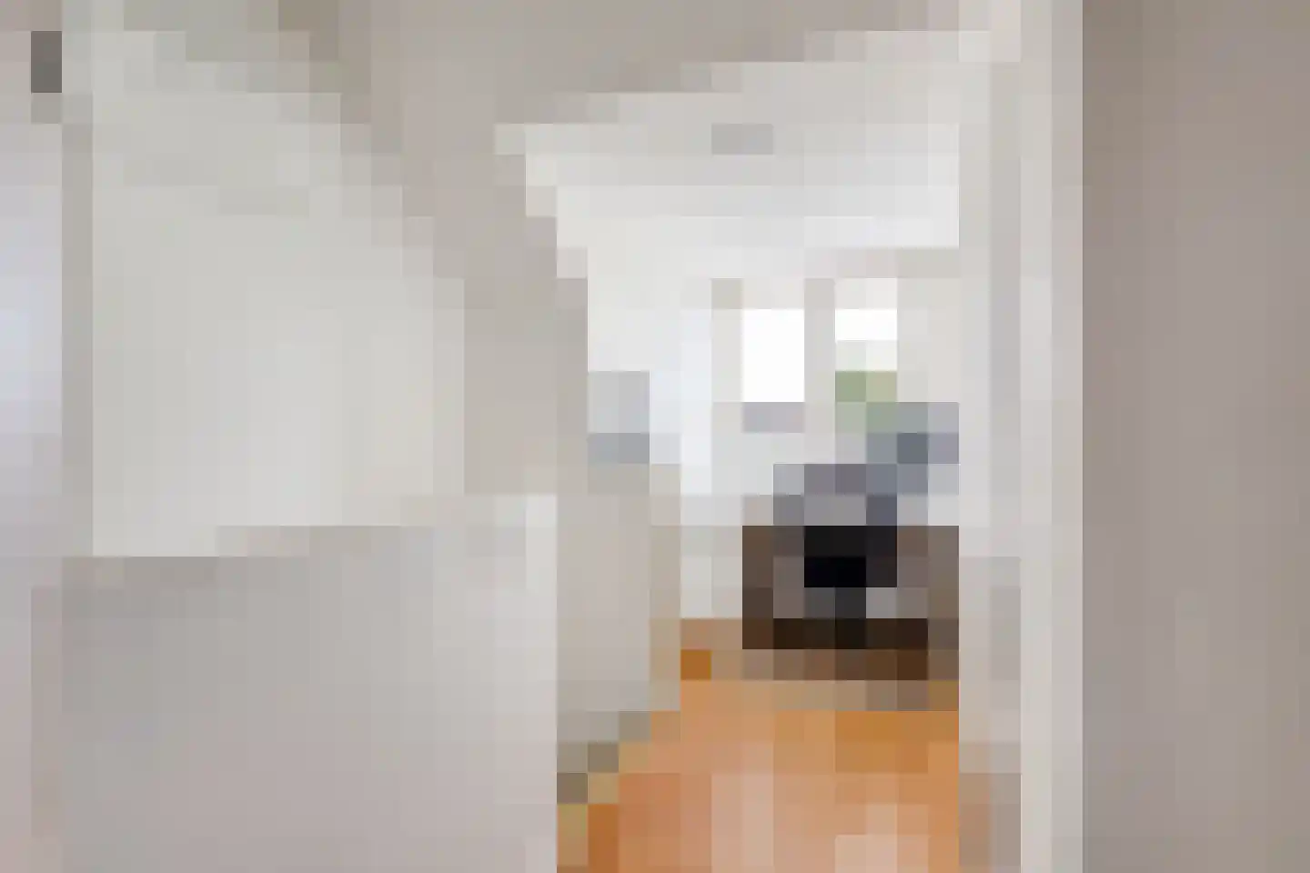 Van Blitterswijckstraat 40 Horst thumbnail 18